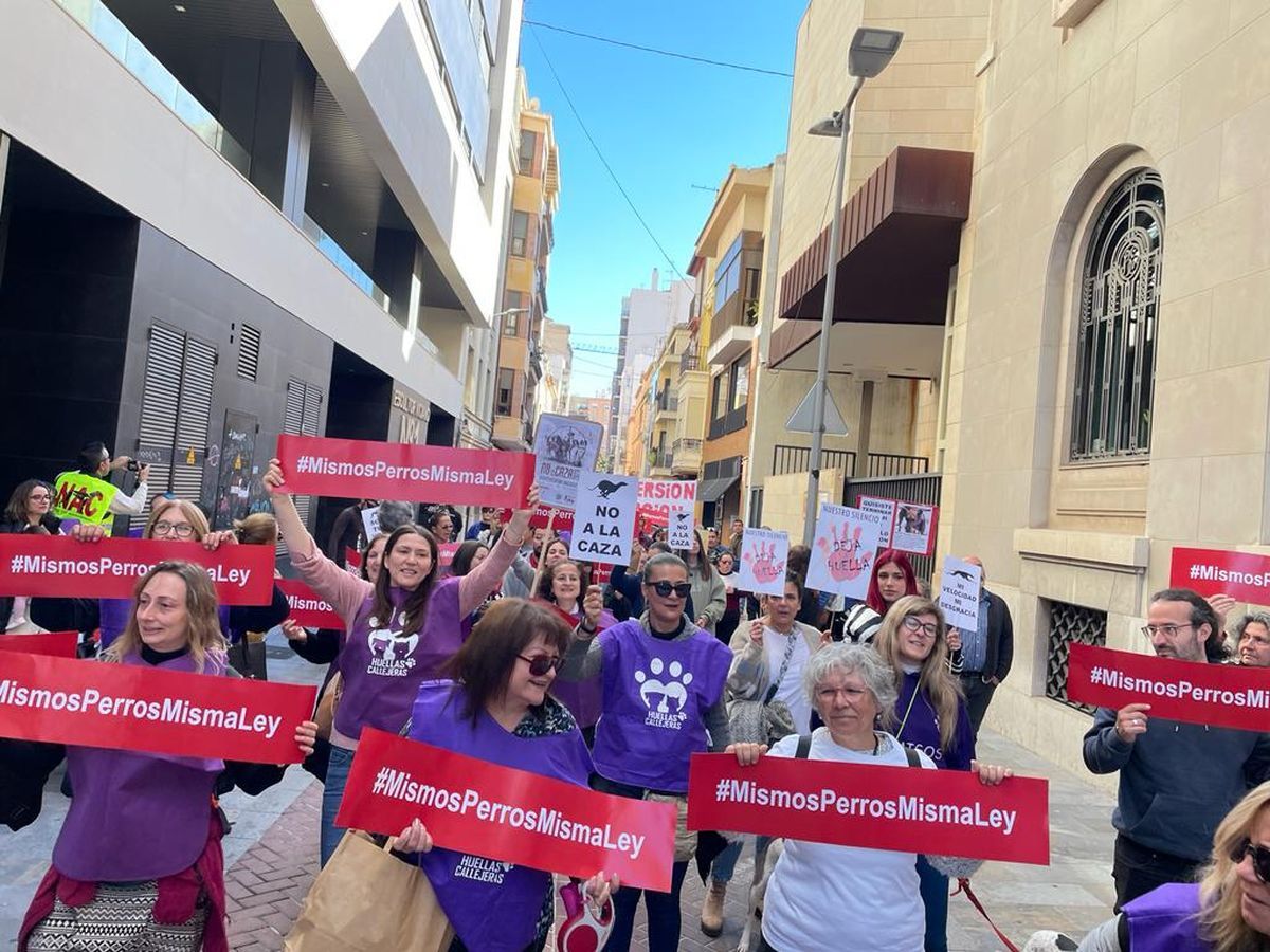 1.000 personas piden el fin de la caza en Castelló