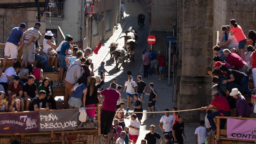 Encierro colorido en Fermoselle