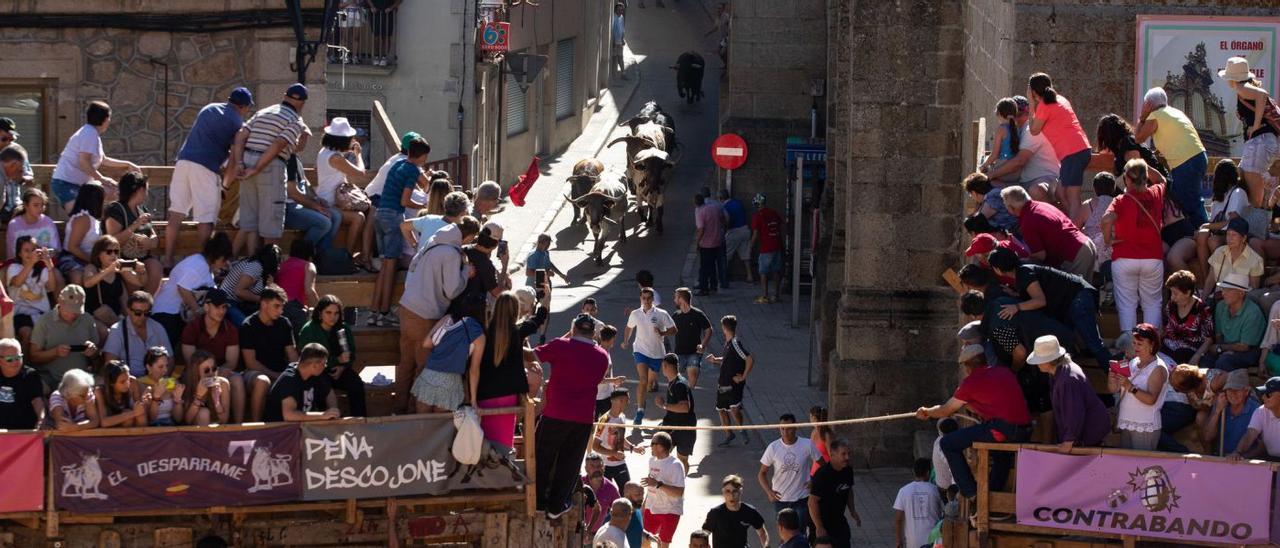 Afinicionados taurinos desde los tendidos de la Plaza Mayor mientras llegan los toros. | Ana Burrieza