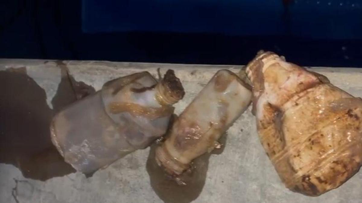 Las botellas de plástico encontradas en el estómago del atún