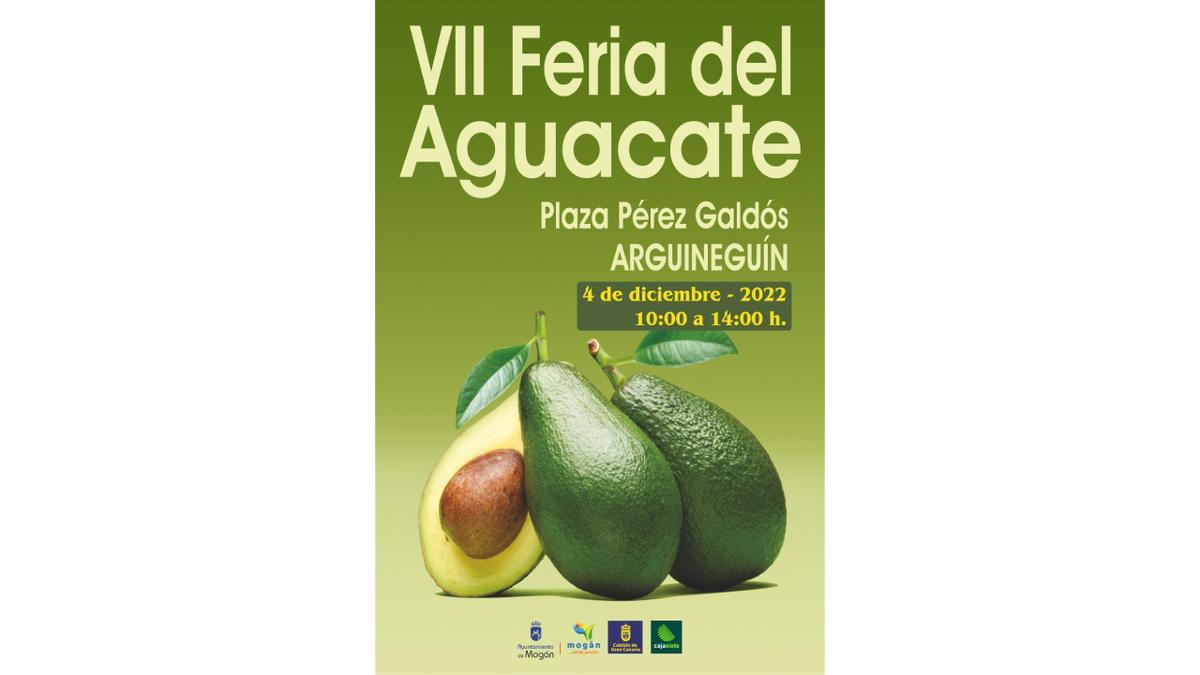 Mogán ofrecerá 3.000 kilos de aguacate y mango en su feria de invierno