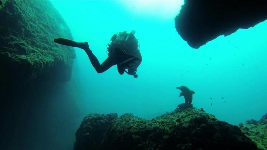 Un submarinista francés fallece ahogado en las islas Medes