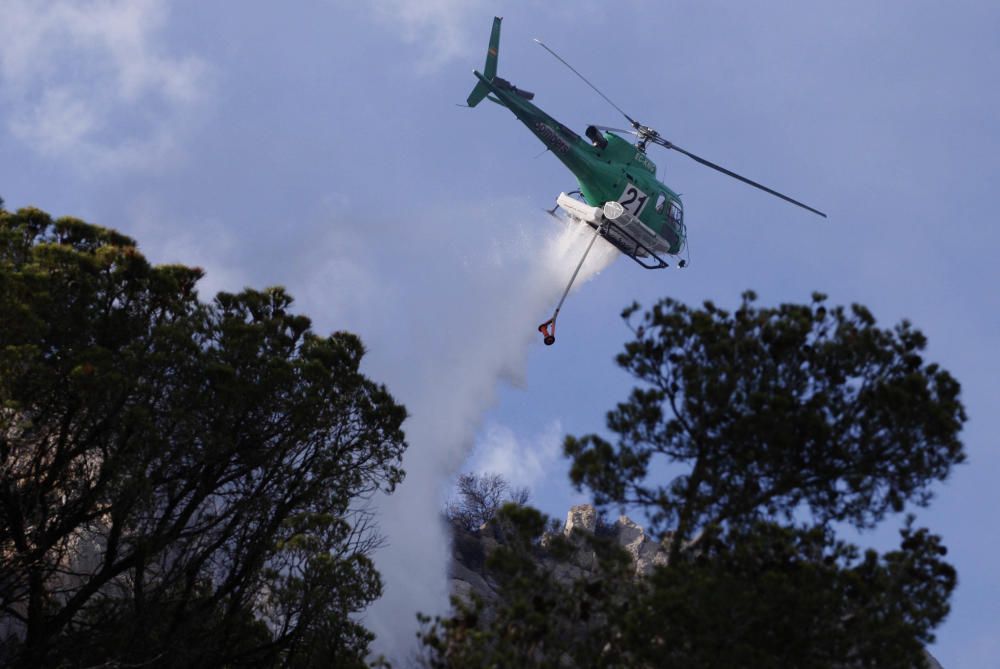 Incendi a l''Estartit