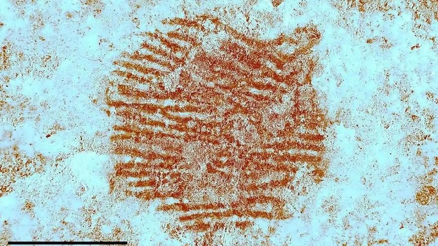 Primera evidencia directa del pensamiento simbólico neandertal