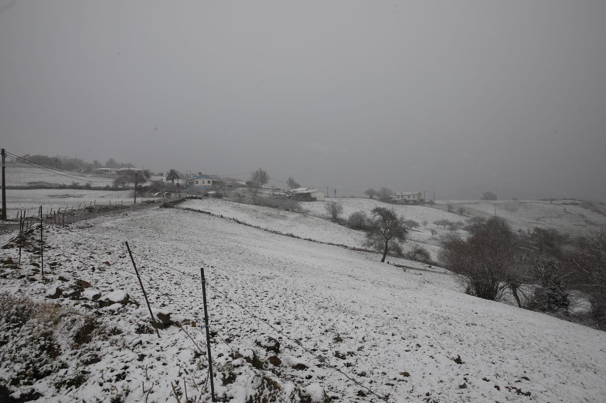 En imágenes: La borrasca Juliette llena de nieve parte de la zona rural de Gijón