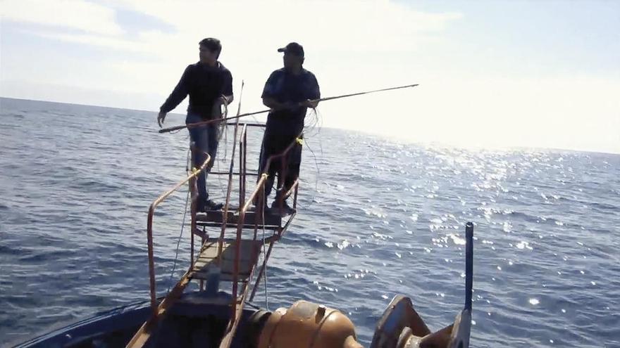 Pescadores artesanales chilenos en busca de pez espada en aguas del país. // YouTube