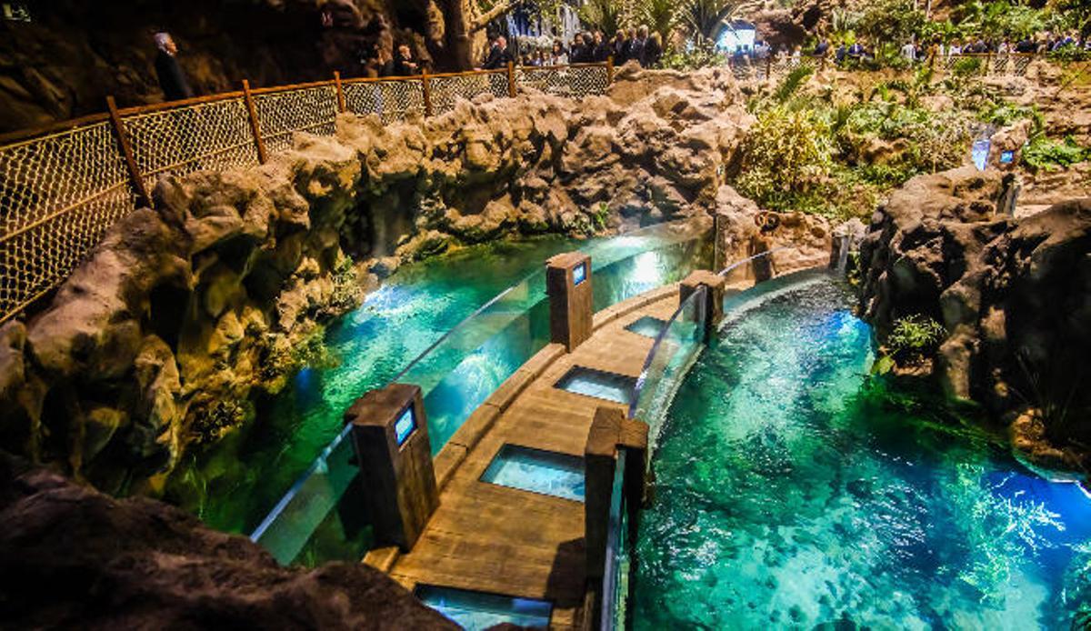 El Acuario descubre la belleza del mar