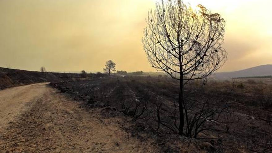 Alborache, una de las localidades más afectadas por los incendios de 2012.