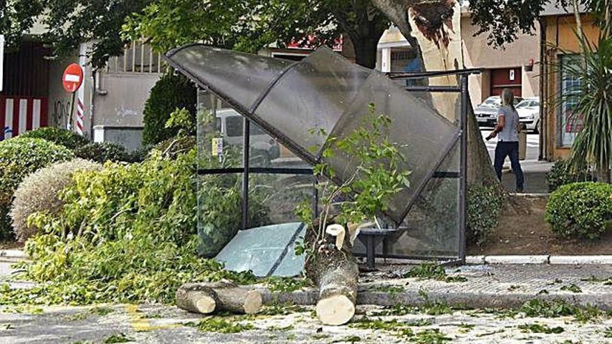 La caída de un árbol destroza una marquesina