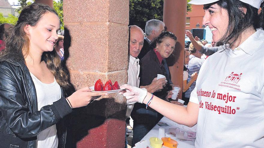 La fresa, motor económico de Valsequillo de Gran Canaria