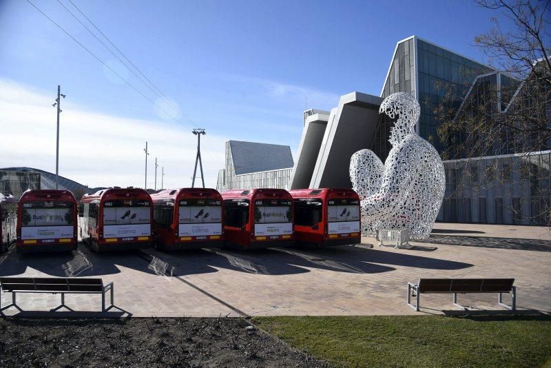 Presentación de la nueva flota de autobuses híbridos de Zaragoza