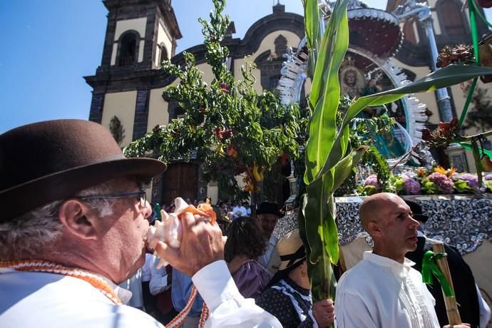 Santa María de Guía.  Procesión y romería de Las Marias  | 15/09/2019 | Fotógrafo: José Carlos Guerra