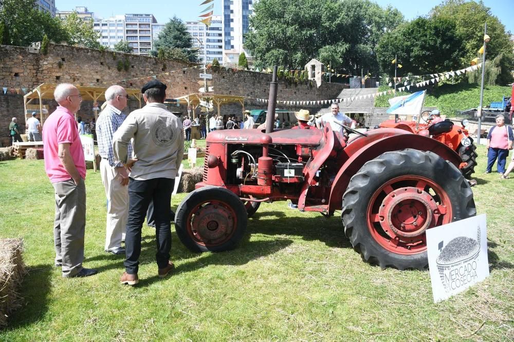 El Mercado de la Cosecha cierra el Noroeste