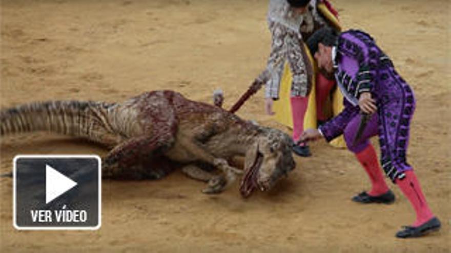 Un velociraptor lucha contra la tauromaquia