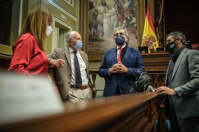 Pleno del Parlamento de Canarias, 20/01/2022