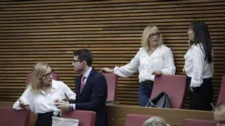 El PP acelera en las Corts su ley Forestal frente al rechazo de la izquierda y la crítica de los ecologistas