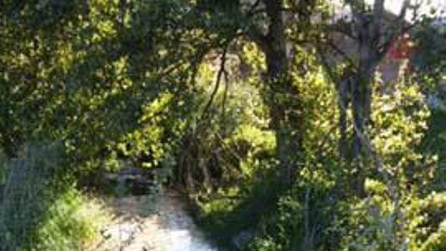 El río de Bañugues, ayer.