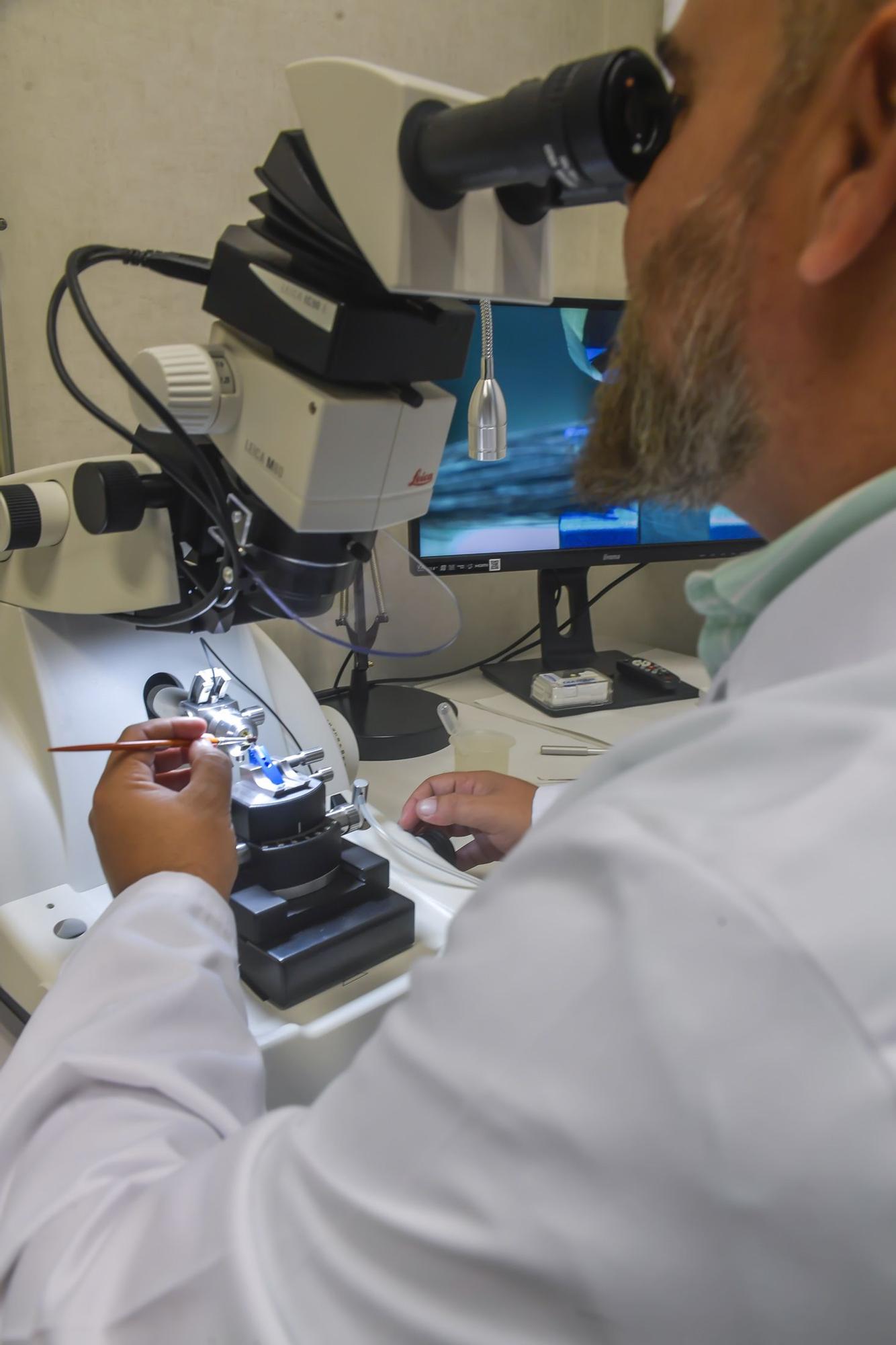 Servicio de Investigación en Microscopía avanzada confocal y electrónica de la ULPGC