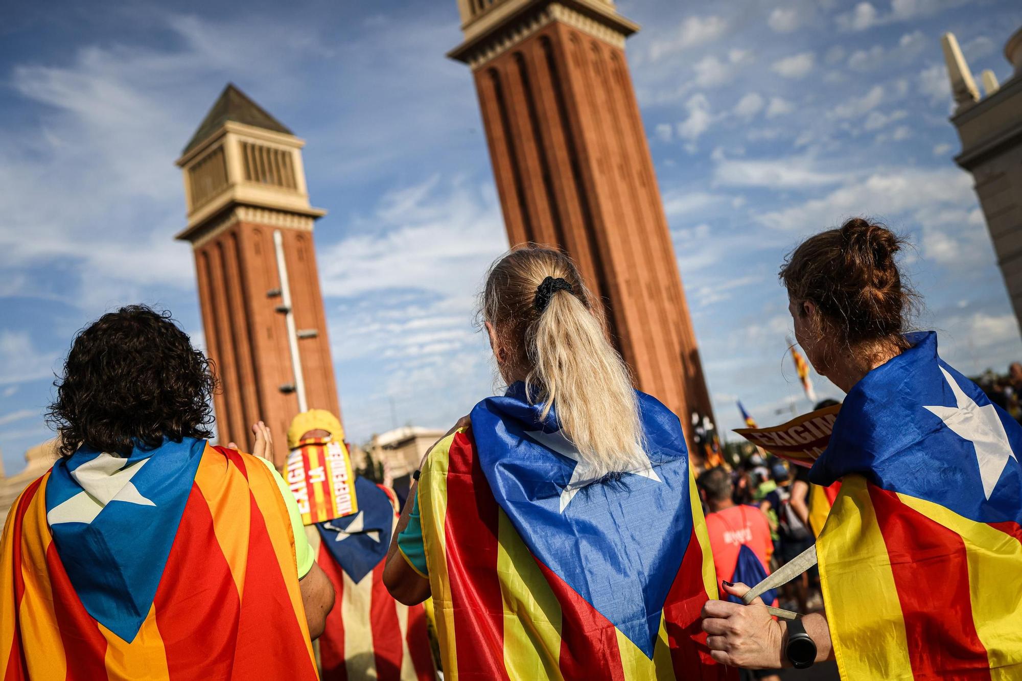 La manifestació de l'ANC per la Diada a Barcelona