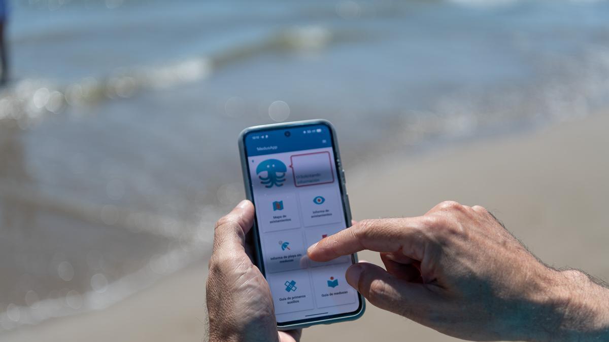 MedusApp supera les 700.000 descàrregues i estrena un mapa interactiu per a seguir les meduses