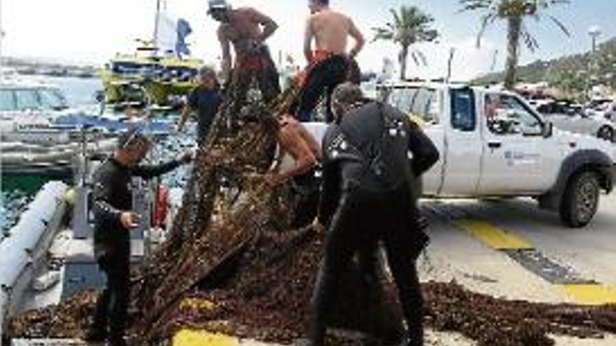Retiren una xarxa de pesca furtiva a les Medes
