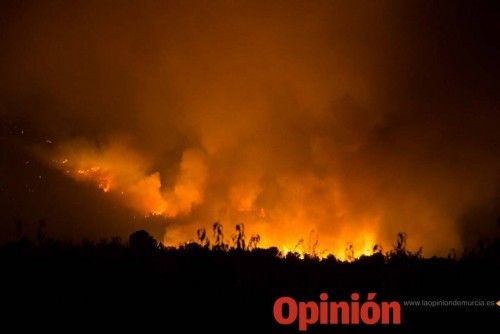 Incendio en la Zarcilla de Ramos