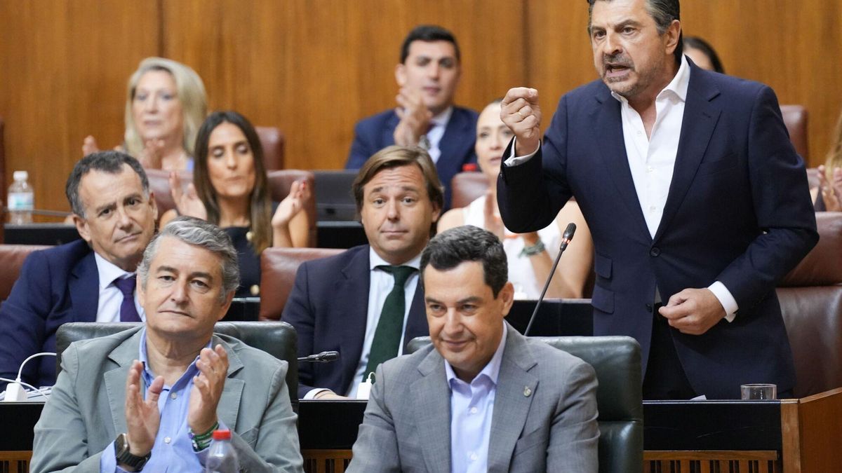 El portavoz del PP, Toni Martín