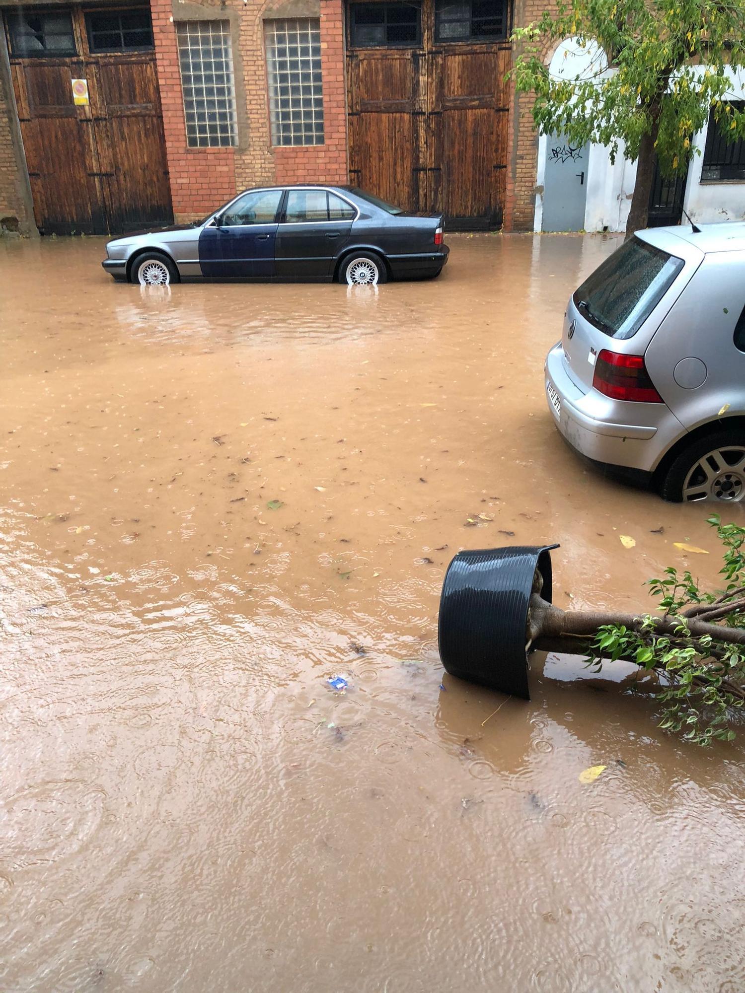 Galería: Los efectos del temporal en los municipios de Castellón