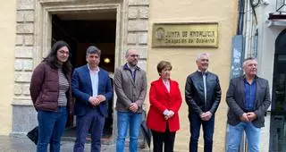 Alcaldes de IU y PSOE del sur de la provincia llaman a manifestarse el 25 de marzo en defensa de la sanidad pública