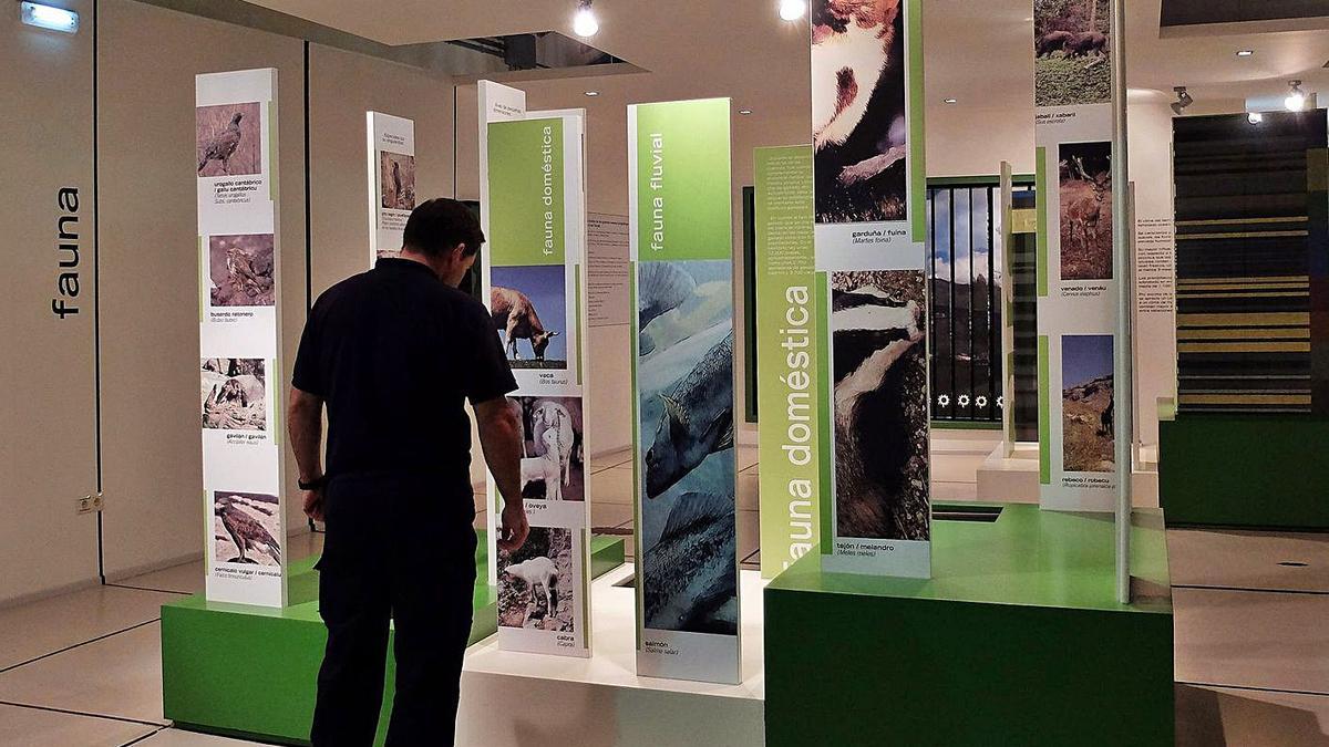 Un visitante en el centro de interpretación del paisaje protegido de las Cuencas, en una imagen de archivo.