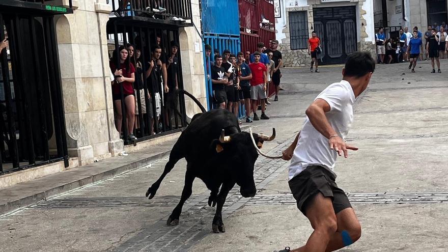 Stiere, Peñas und ein Preisgeld von 1.000 Euro: intensiver vorletzter Tag der Festlichkeiten von Villahermosa