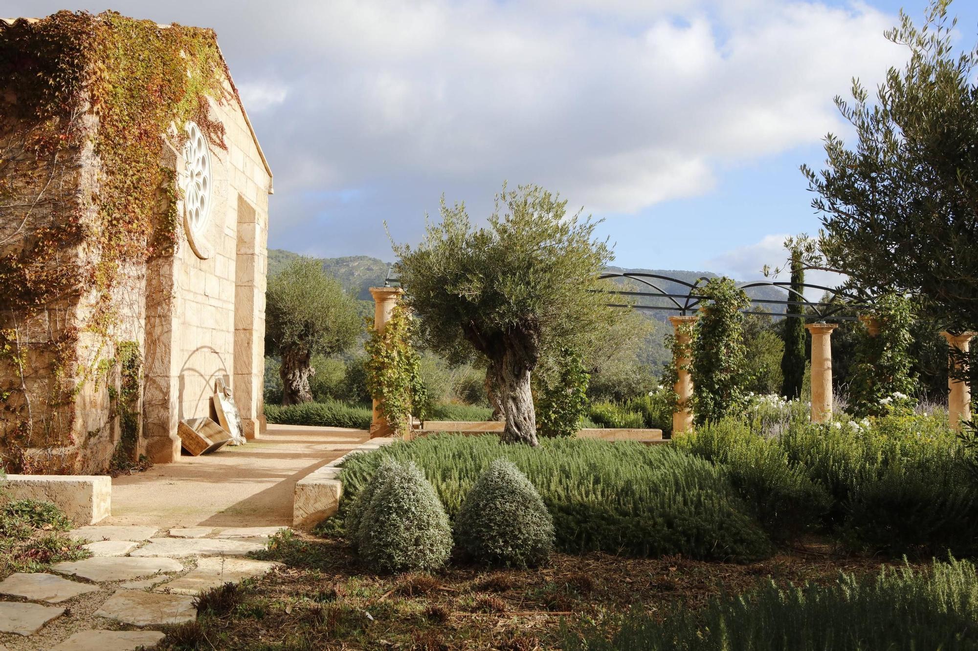 Ein Garten auf Mallorca ganz in Öko