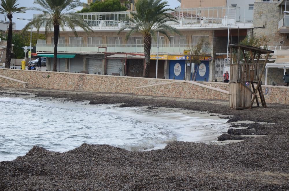 November-Wetter auf Mallorca - den Surfern gefällt's