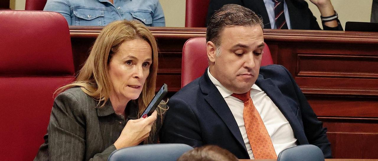 Los diputados del PP Luz Reverón y Carlos Ester durante el debate plenario del Parlamento.