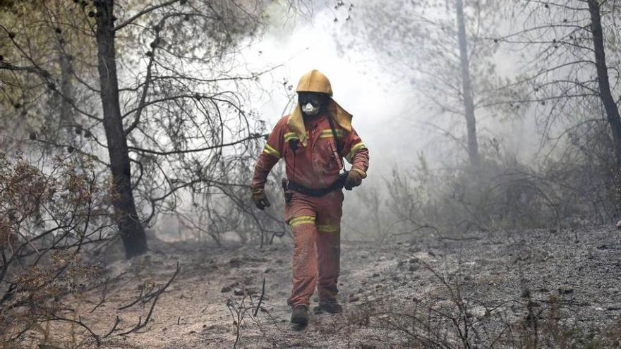 El fuego arrasa ya casi 3.000 hectáreas en varios focos muy intensos en  Valencia - La Nueva España