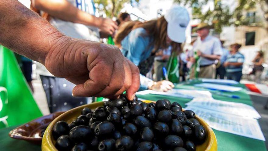 La Creex advierte del efecto dominó de los aranceles