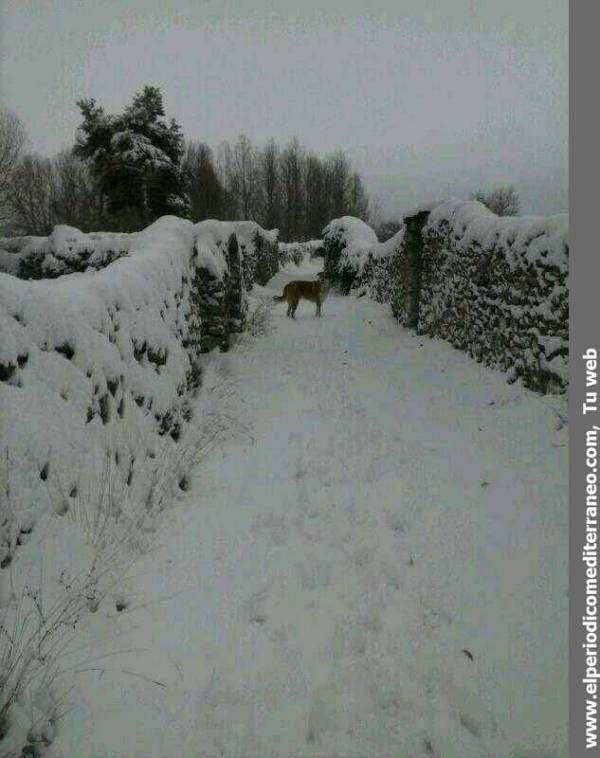 GALERÍA DE FOTOS - Primeras nieves en la provincia