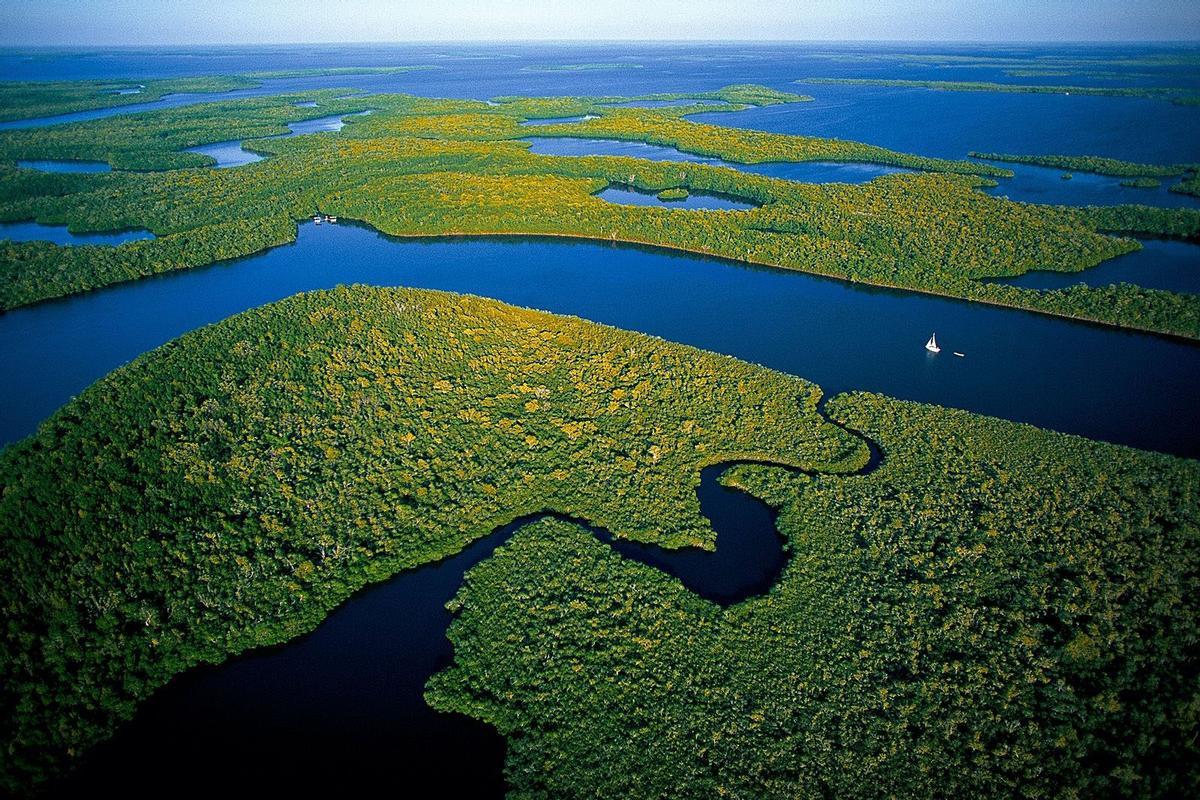 Vista de los Everglades (EEUU)