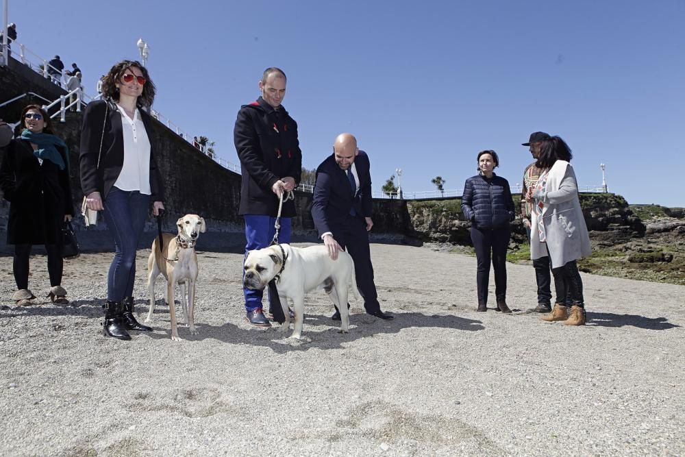 Gijón se promociona como destino vacacional para familias con sus mascotas