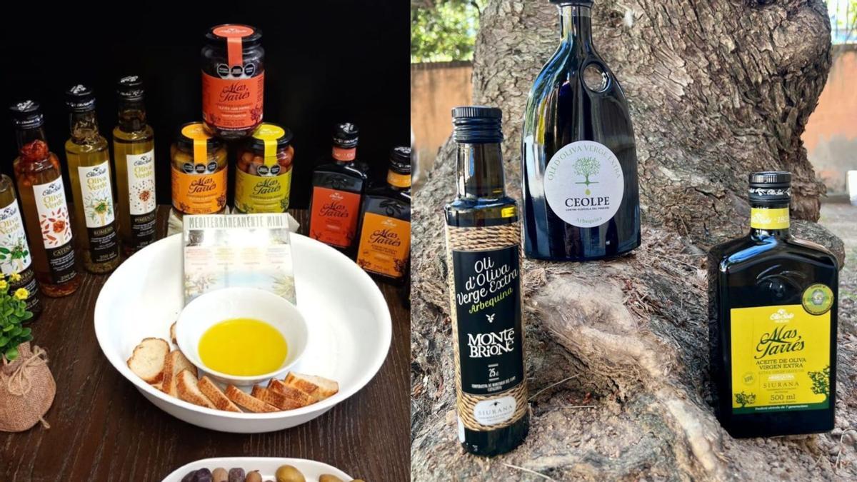 El mejor aceite de España se encuentra en Jaén y Tarragona