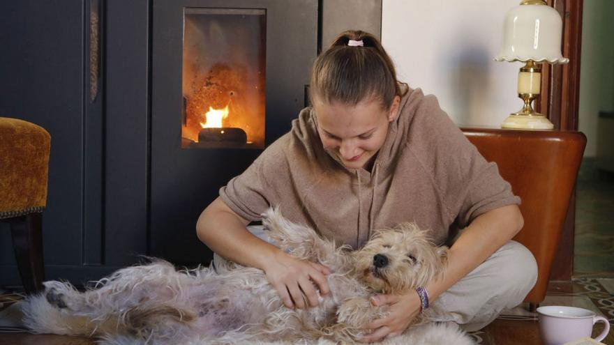 Dank der molligen Wärme eines Pelletofens fühlen sich Mensch und Tier wohl.  | FOTO: BENDGENS