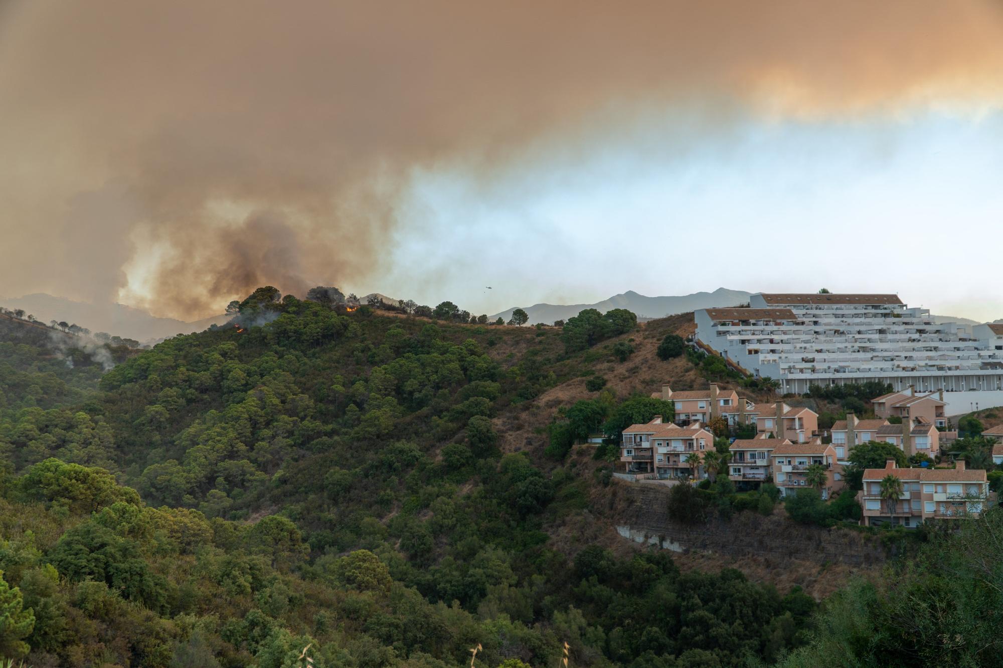 Un incendio en Sierra Bermeja afecta a Jubrique, Genalguacil y Estepona