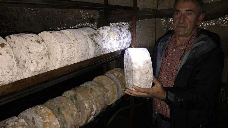 Gerardo Niembro, con los quesos que madura en las Cuevas de Quiliama, en Onís.