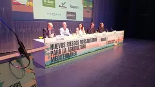 El Gobierno regional demanda más productos fitosanitarios para luchar contra las plagas emergentes