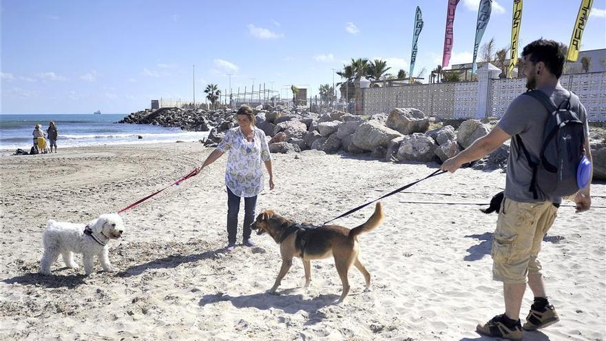 La playa canina de Castellón estrena su tercera campaña