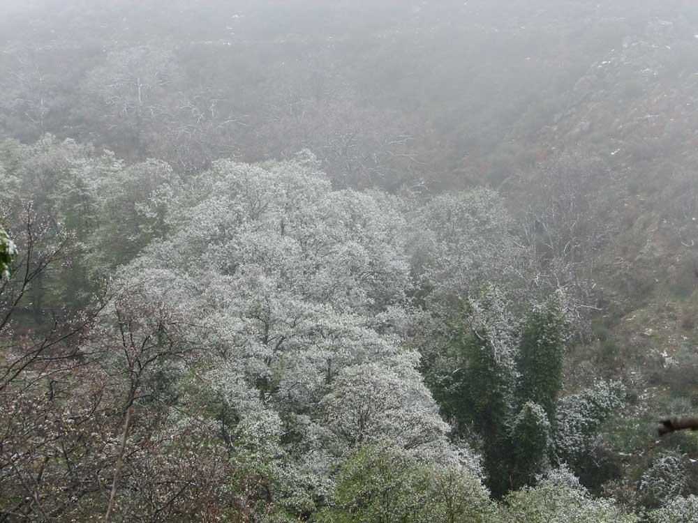 Nevada de primavera en Extremadura