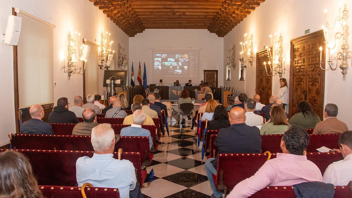 Celebración del Consejo de Administración y de la Junta General del Consorcio MásMedio de la Diputación de Cáceres