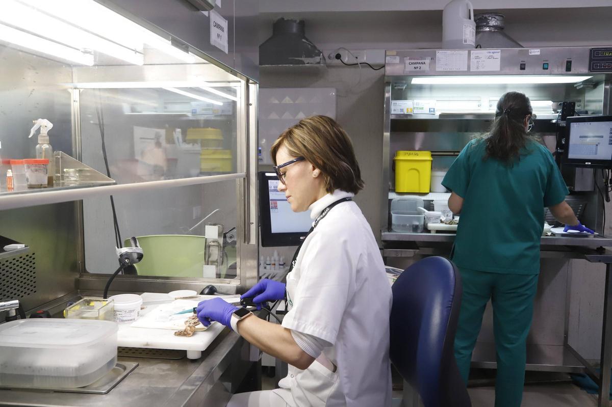 Profesionales trabajando en Anatomía Patológica del hospital Reina Sofía.
