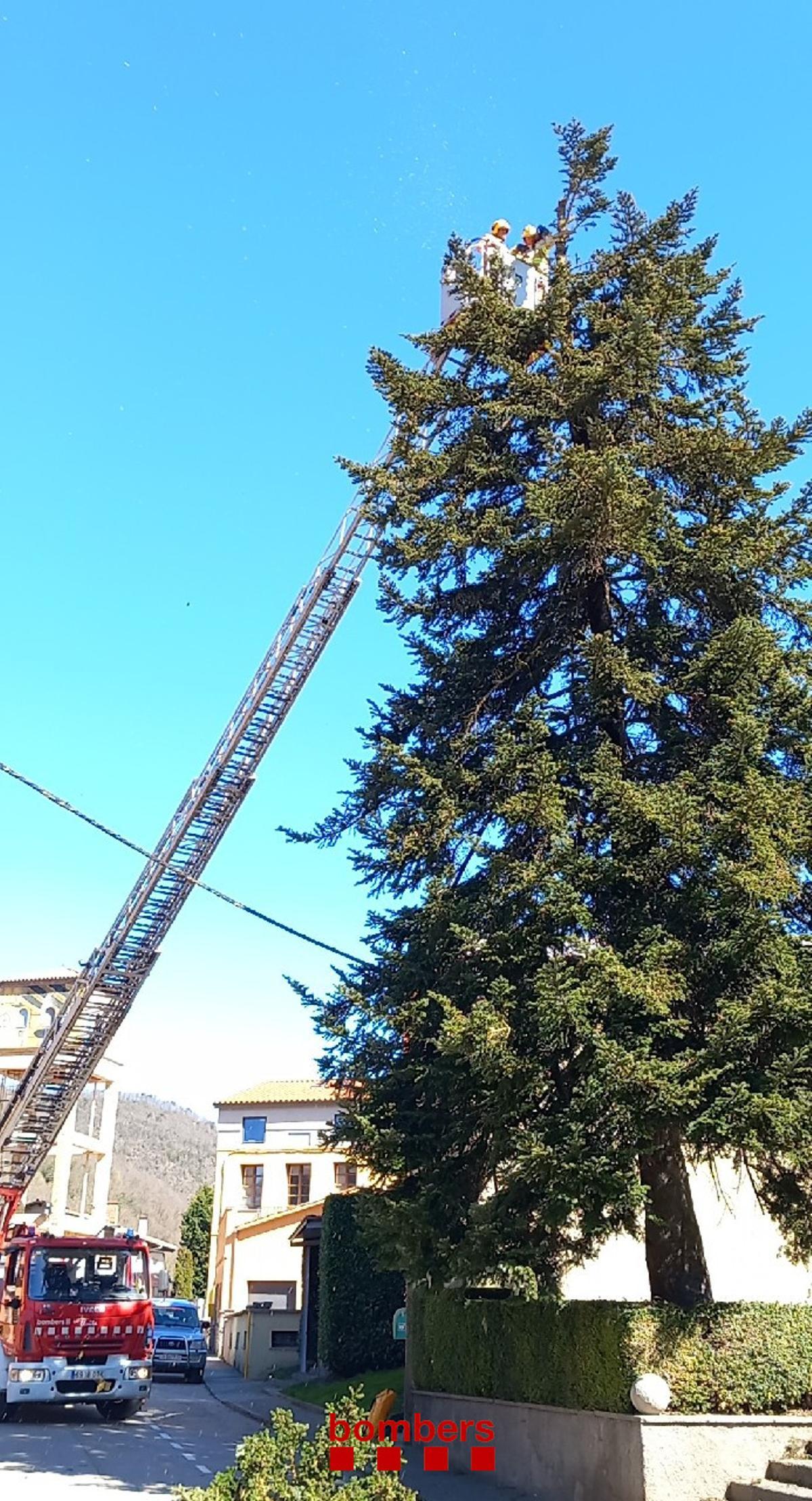 Els Bombers han actuat a Sant Pau de Segúries per retirar les branques d’un arbre que amenaçaven de caure.
