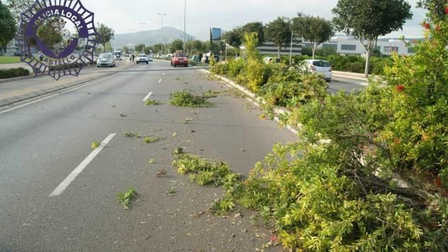 Un conductor ebrio sufre un accidente